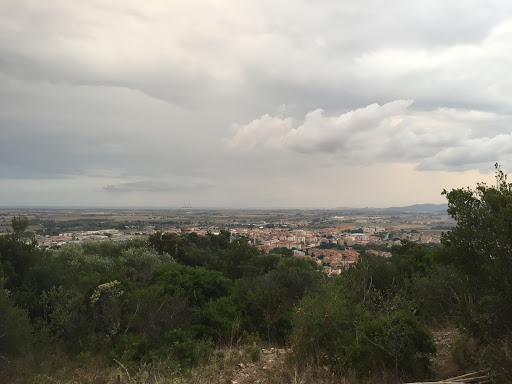 Polvera - Visual