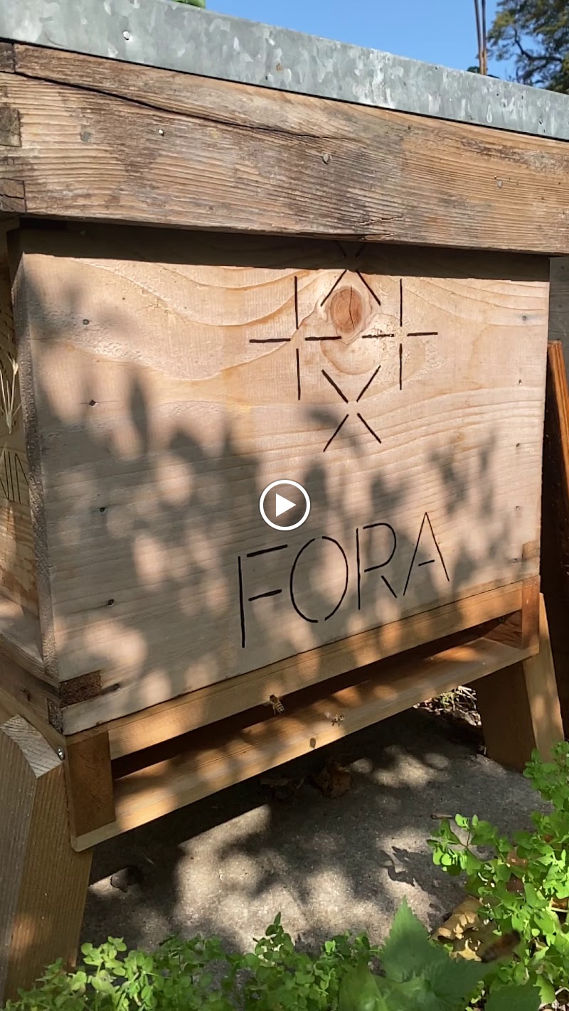 Hive Cleaning Ltd photo 3