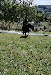 Photo n°5 de Equi Balance à Le Bas Ségala (Ferme)