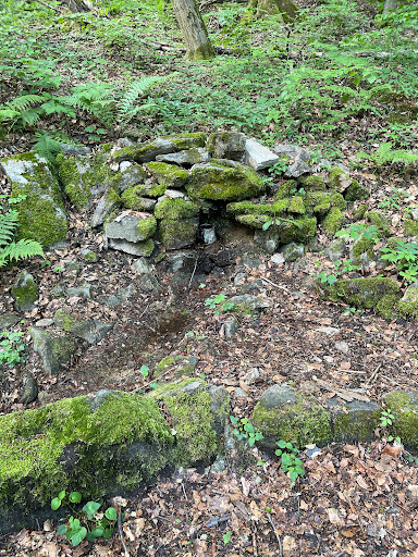 Waldquelle an der "Wettineiche" Gallery - Germany