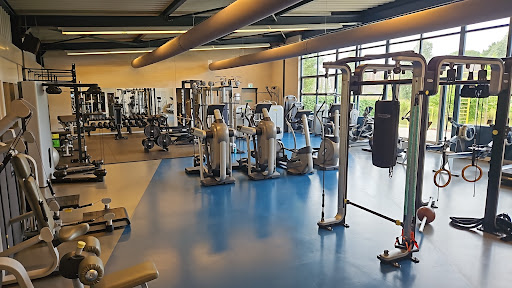 Tino Hoogendijk Sport & Fitness - Thumbnail