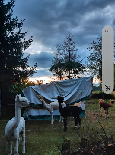 Al Paco Ranch - Thumbnail