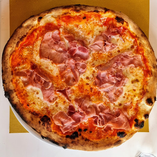 La lepre bianca - Visual