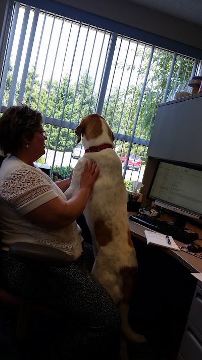 Photos of League For Animal Welfare