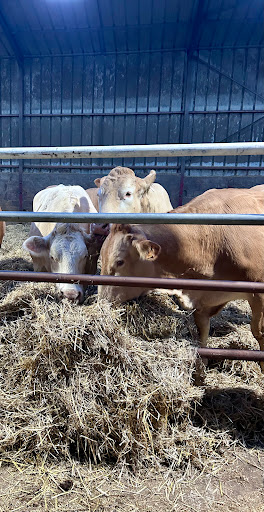 FERME DE CHEVANCE