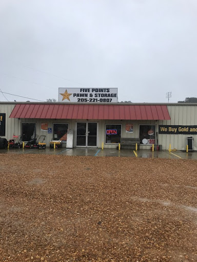 Five Points Storage - Visual