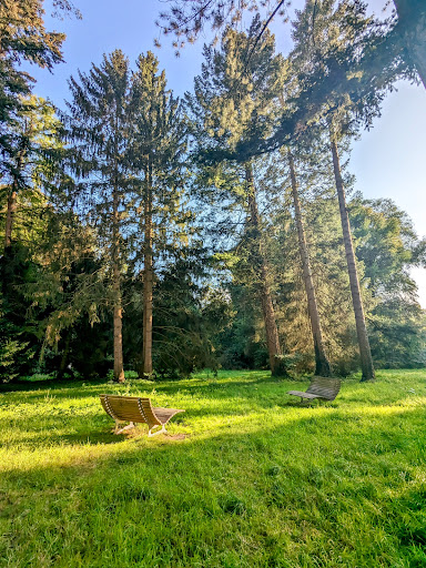 Ewilpa - Der Essbare Wildpflanzen Park Gallery - Germany