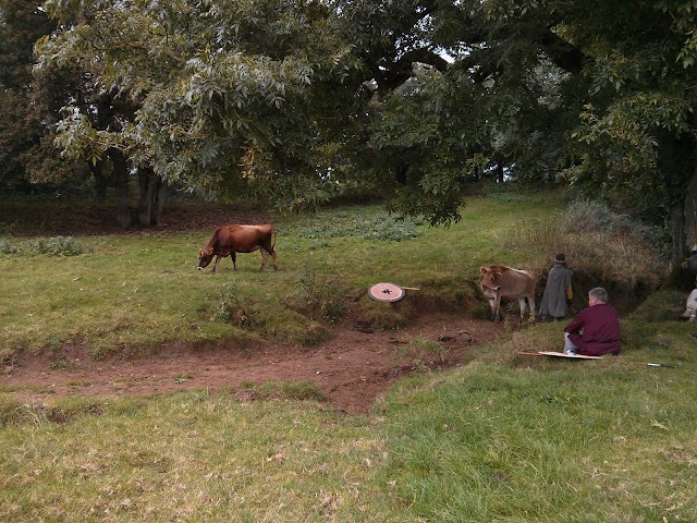 Cadbury Castle