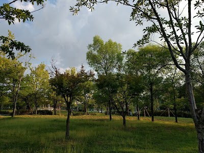 Photos of 중산체육공원