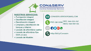 Control Ambiental Service 4