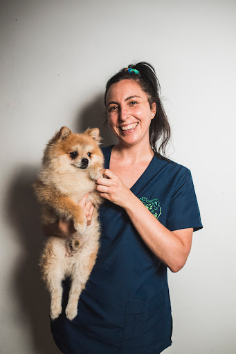 Clínica Veterinaria San Francisco de Asís