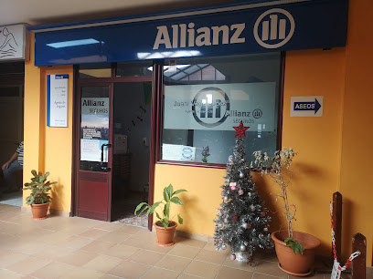 Allianz Seguros - Juana Vega López