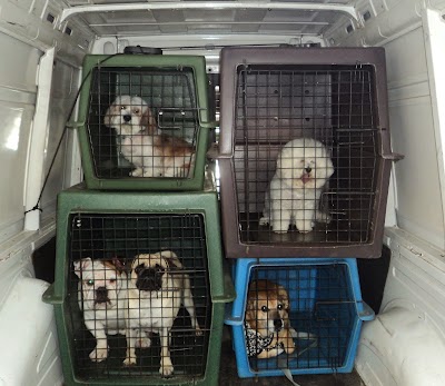 Photos of Cl&iacute;nica Veterin&aacute;ria Diskvet