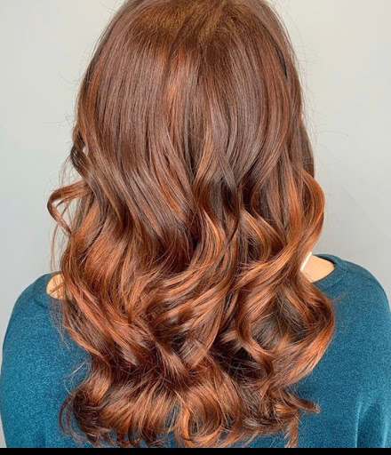Salon 488 - Thumbnail