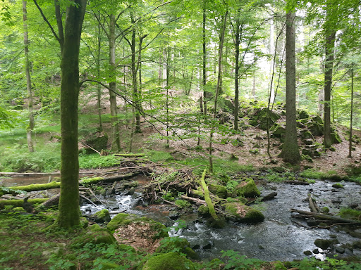 Vessertal - Thumbnail