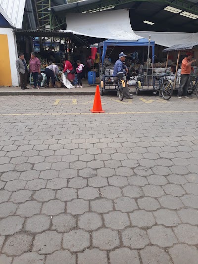 Photos of Marisca Sucre