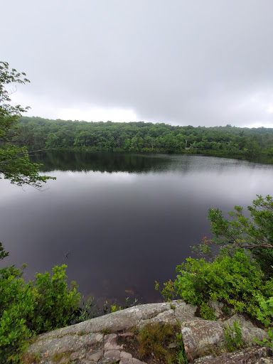 Ramapo Torne Gallery - United States