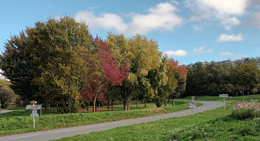 Arboretum de Coudun/Giraumont - Thumbnail