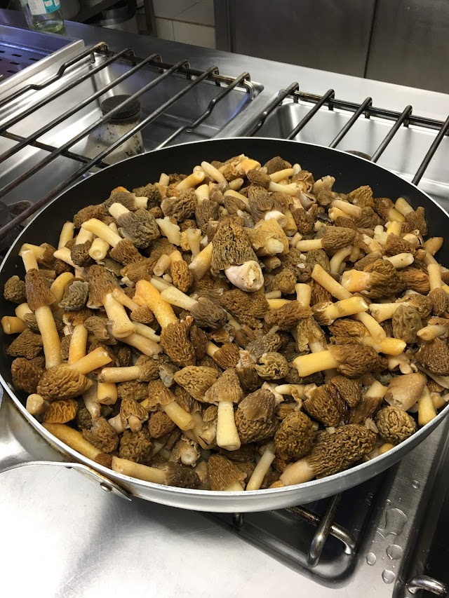 albergo ristorante ciori