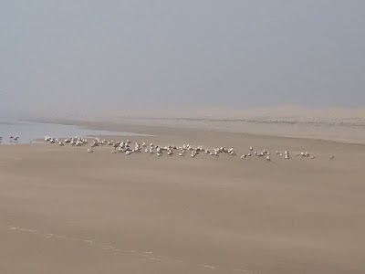 Photos of Plage Chelihate