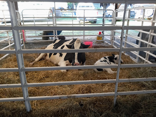 Lake County Fairground - Thumbnail
