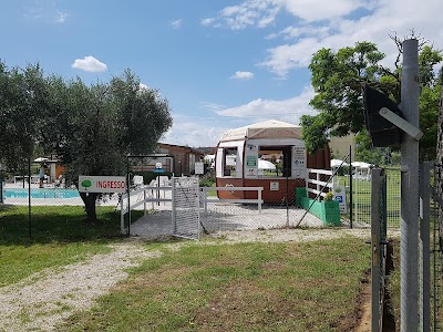 Piscina - Asd Monte Dell