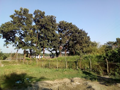 Photos of Elegance Halda Resort