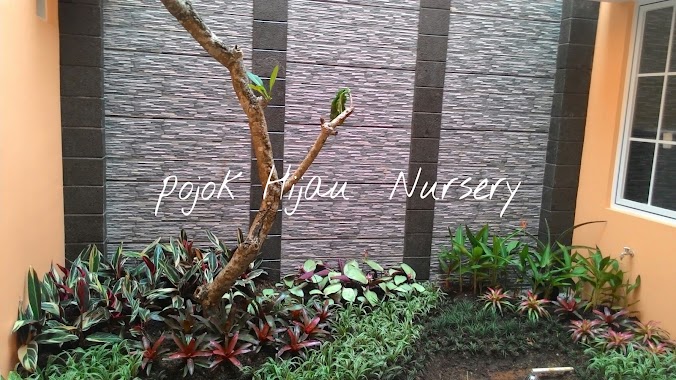 Pojok Hijau Nursery, Author: evi sofyan