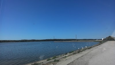 Photos of Malkų įlanka