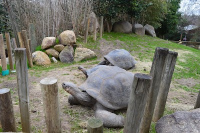 Tortoise Park