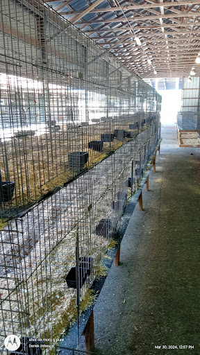 Clay County Fair Association - Thumbnail