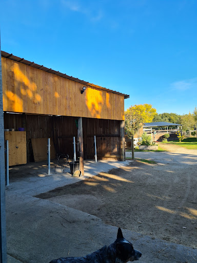 Pension chevaux élevage du médoc - Thumbnail
