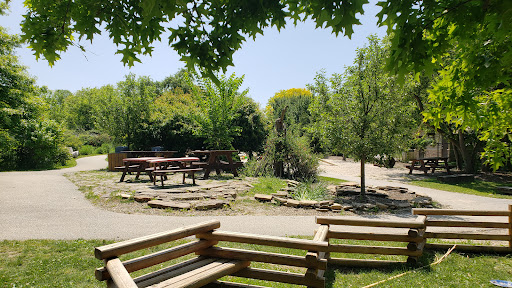 Nature Play - Visual