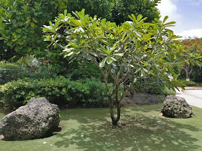 Photos of Graeme Hall Nature Sanctuary