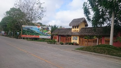 local-government-office