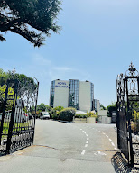 Camille Juchault Négociatrice chez Stéphane Plaza Immobilier Balma à Balma