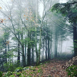 Photo n°17 de La Table à Dessins à Lyon (Designer d'intérieur)