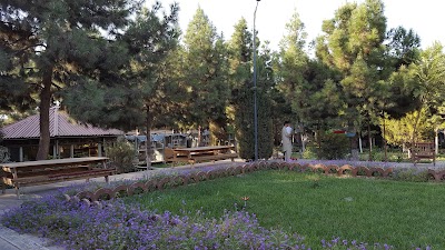 Photos of صالون عروسی کفایت