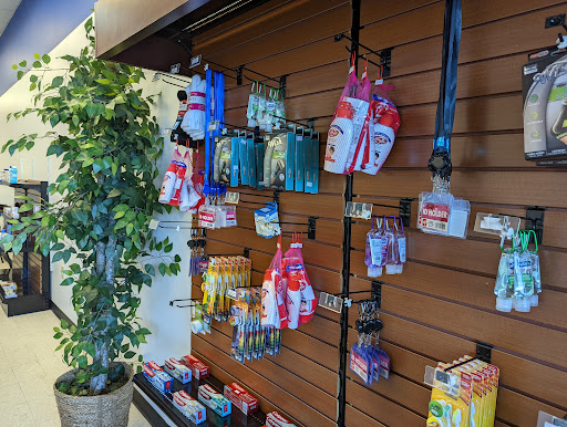 Forest Pharmacy - Visual