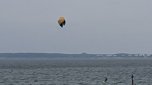The Grand Pde at Solander St - Thumbnail