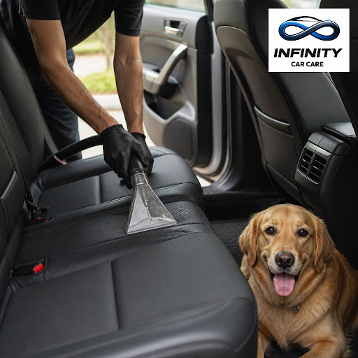 Spilled snacks, pet hair, milk stains and lingering odours can quickly make your car feel messy a… post image