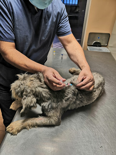 Veterinaria Sarabia