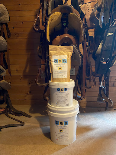 Organic Gut Solution - Visual