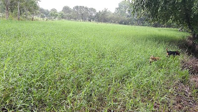 Photos of Rancho Alegria