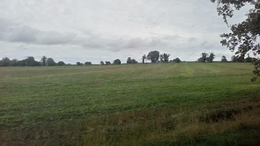 Weavers way - Visual