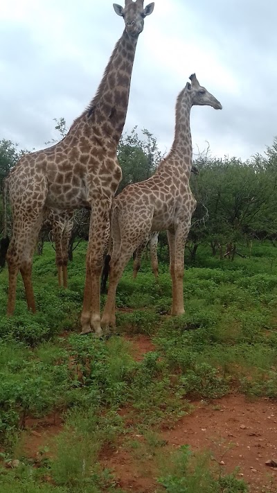 Photos of Marloth Lodge