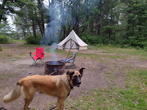 AuSable River Camping - Site 001D (Alcona Pond) - Thumbnail