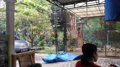 Photos of Durian garden Bawor