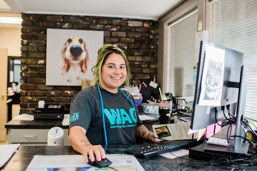 Southern Veterinary Partners - Thumbnail