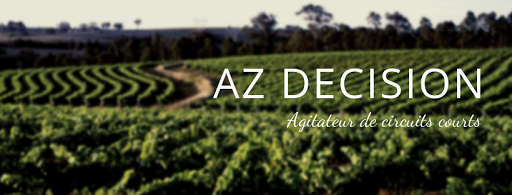 AZ DECISION